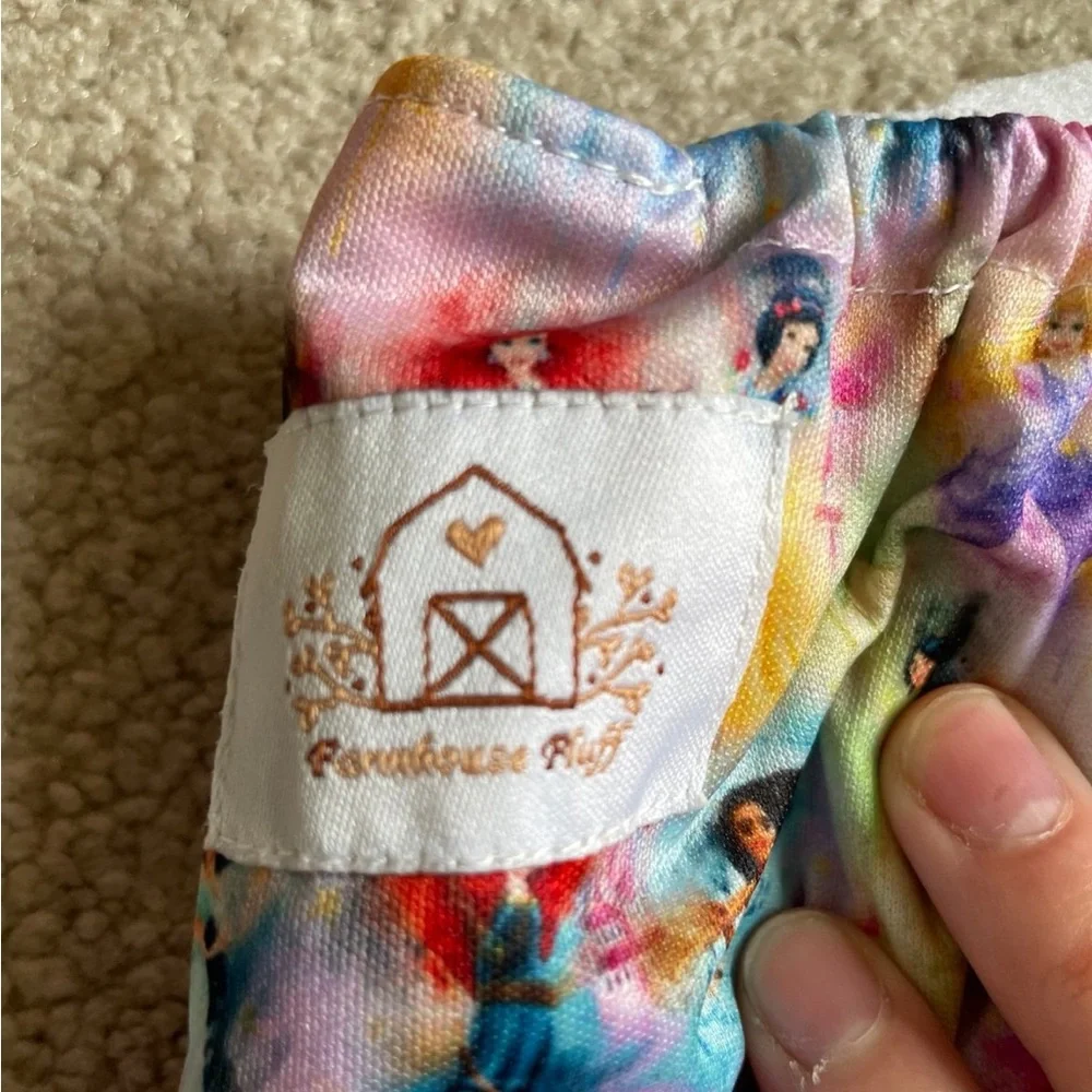 Disney Themed Cloth Diapers, Wet Bag, and Diaper Carrier Set